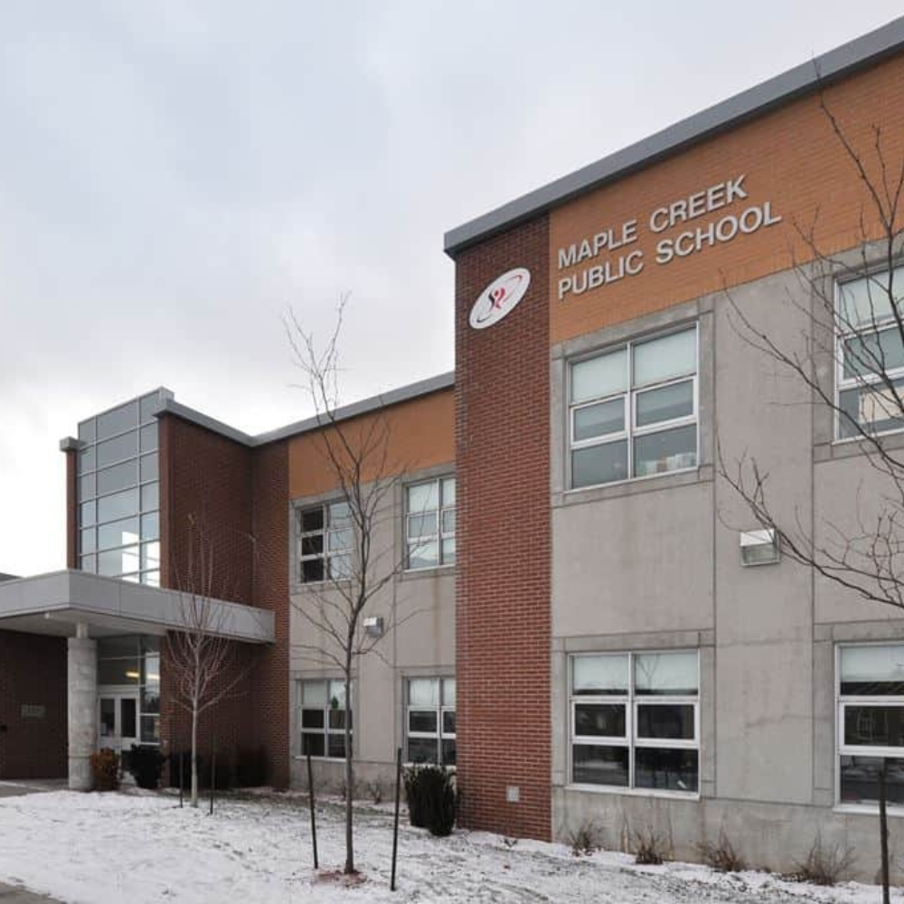 Shaping Futures: A Glimpse into Maple Creek Public School, Ontario